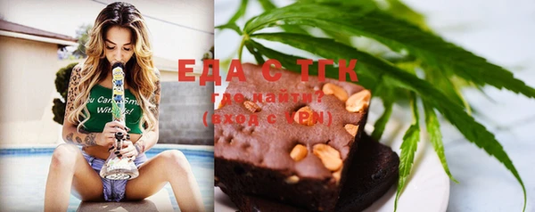 хмурый Алзамай