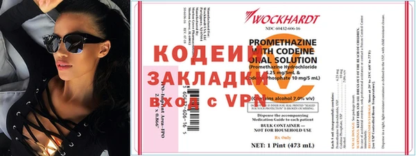 хмурый Алзамай