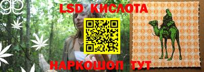 ПСИЛОЦИБИНОВЫЕ ГРИБЫ Заволжье