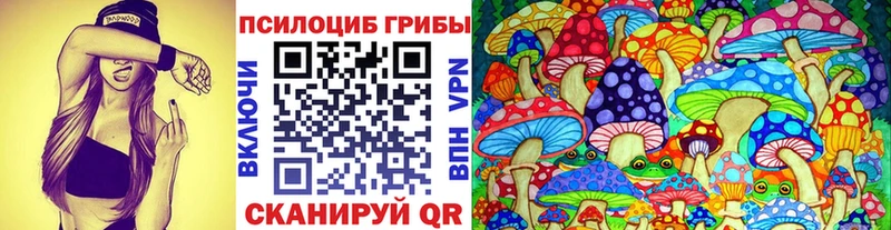 Псилоцибиновые грибы Cubensis  хочу   блэк спрут   Миллерово 