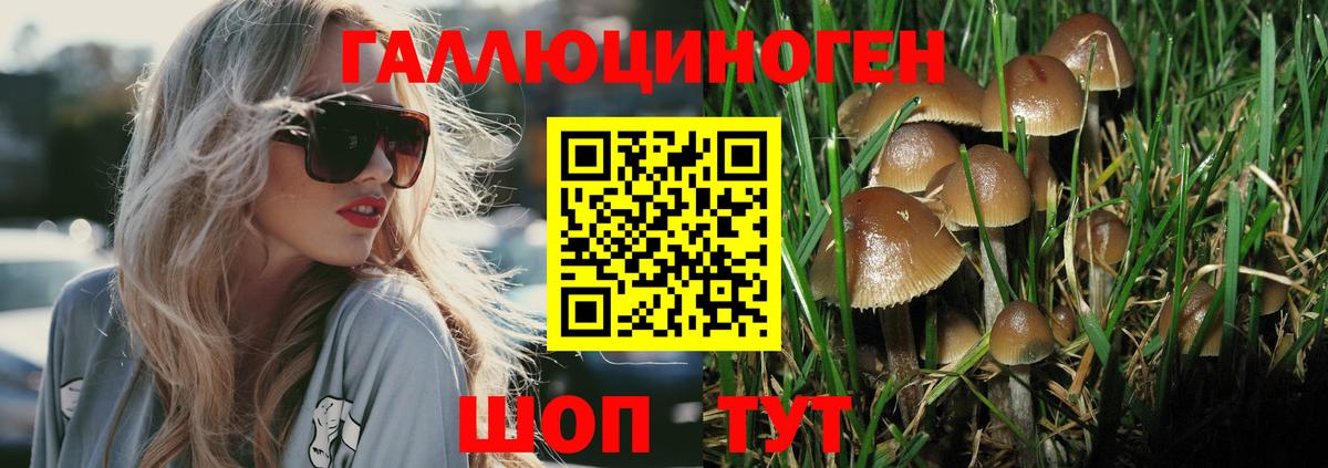 Галлюциногенные грибы MAGIC MUSHROOMS  Вход с VPN  Миллерово 