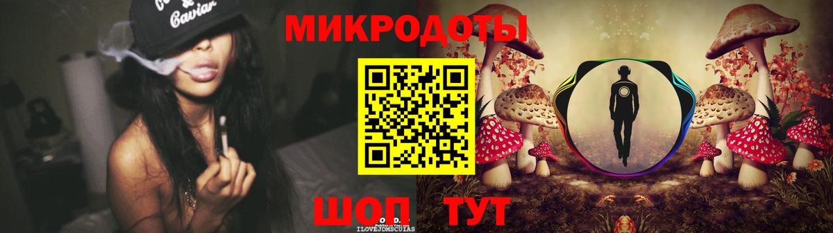 Галлюциногенные грибы Psilocybe Миллерово